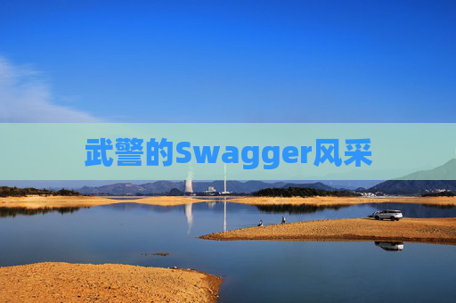 武警的Swagger风采